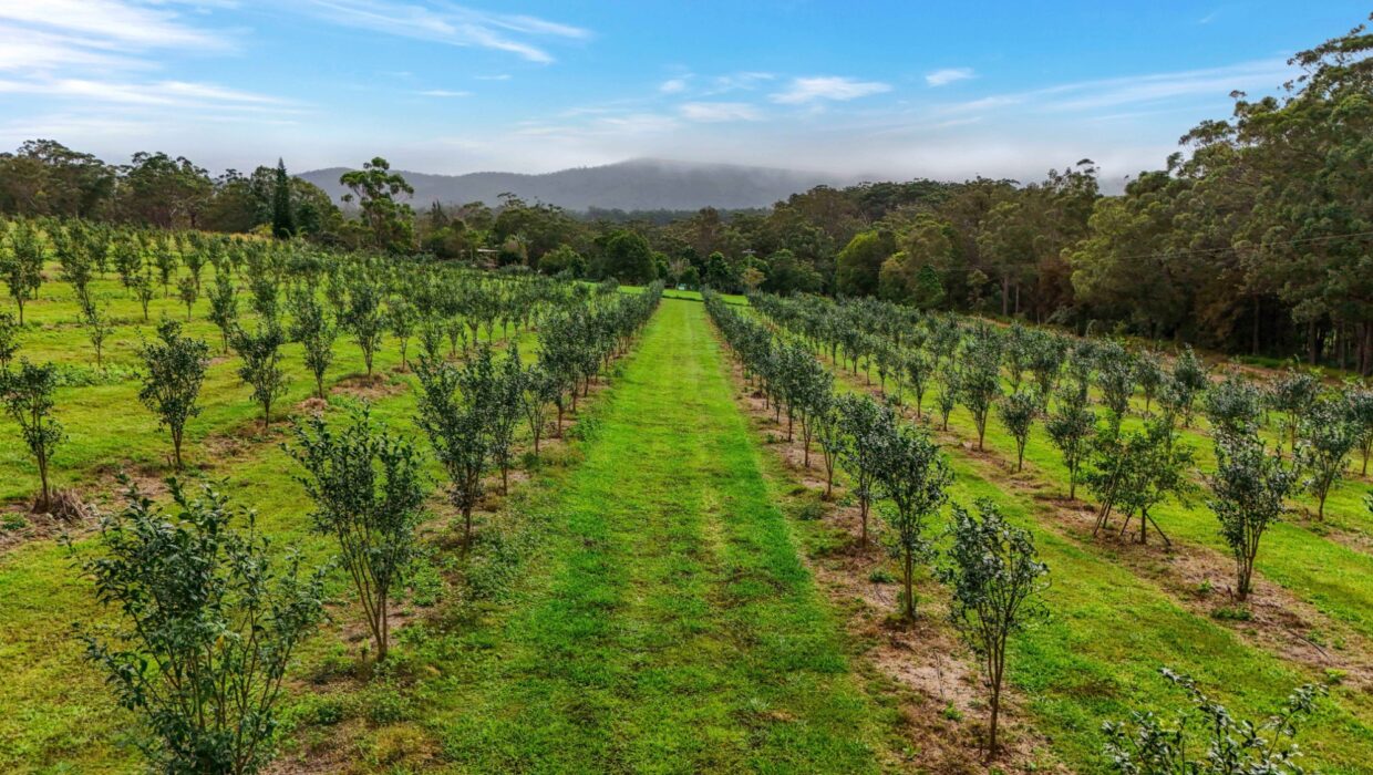 Lot 83 Chester Road, WONDECLA, QLD 4887